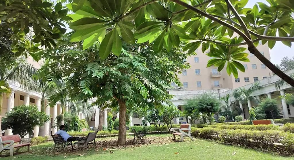 delhi university pic 4